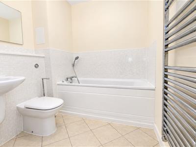 Picture 7